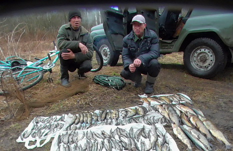 Поесть рыбки за 450 миллионов рублей