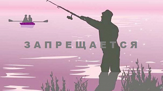 С 1 апреля запрет на лов всех видов рыбы будет установлен в пяти областях Беларуси
