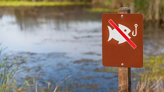 С 22 марта ограничения на лов рыбы будут установлены в пяти областях Беларуси