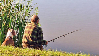 С 1 апреля в пяти областях Беларуси будут действовать ограничения на лов рыбы 