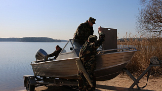 Трое в лодке: инспекторы вместе с журналистом БЕЛТА обследовали нерестилища на Минском море
