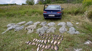 Арендатор-рыбовод из Барановичского района незаконно ловил рыбу сетями на общественном водоеме