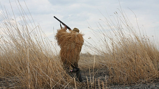 С 14 марта открывается весенний сезон охоты на пернатую дичь