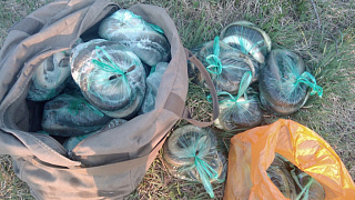 В Мядельском районе инспекторы разоблачили нелегальных добытчиков угря, они перевозили 45 кг улова