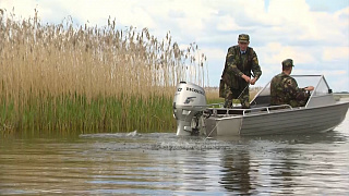 На Лукомльском озере госинспекторы провели масштабный рейд и изъяли более 30 сетных орудий  