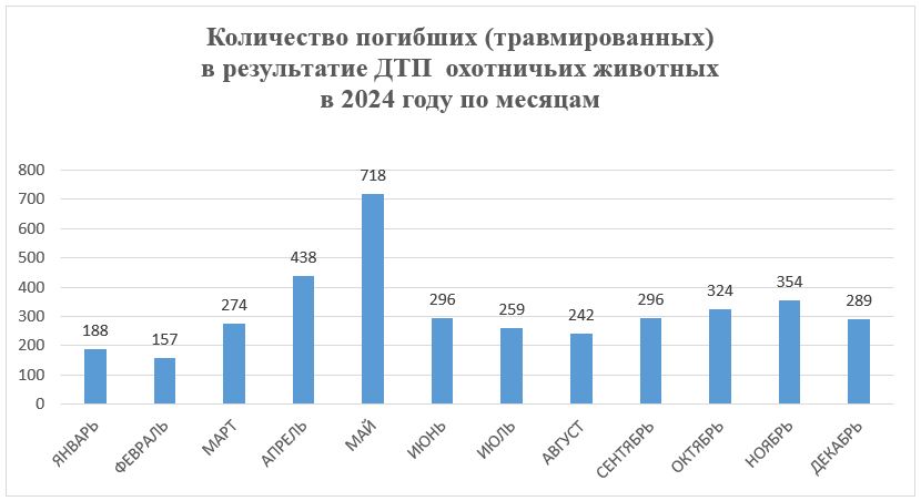 2025.03.06.05