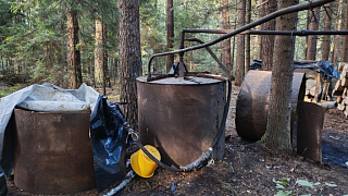 Вместо дичи — самогонный аппарат: под Новогрудком инспекторы накрыли подпольный мини-завод в лесу