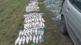 Трое браконьеров из Вилейки задержаны с крупным уловом на местном водохранилище