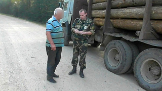 КАМАЗ древесины хотел похитить директор частной фирмы в Могилевском районе
