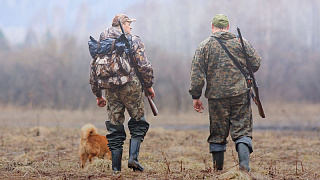 С 1 октября в Беларуси стартует сезон загонной охоты