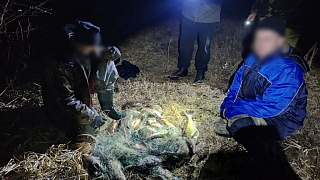 Нерест не преграда для браконьеров