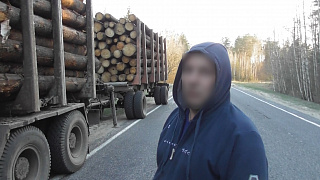 В Любанском районе инспекторы пресекли хищение крупной партии деловой древесины