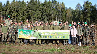 Дай лесу новае жыццё!