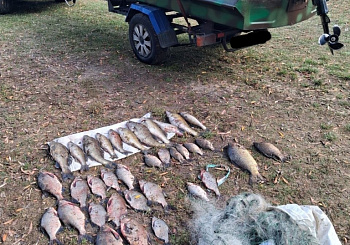 Браконьерский промысел под покровом ночи