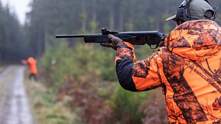 С 1 октября в Беларуси стартует сезон загонных охот 