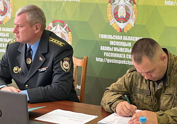 Поведены итоги работы Гомельской областной инспекции
