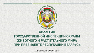 Заседание коллегии Государственной инспекции по итогам работы в 2025 году