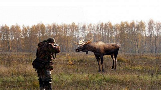 Удостоверение охотника не дает право стрелять в любое животное