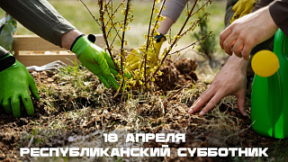 Единство в действии: как прошел республиканский субботник