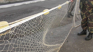 Рыбаков, добровольно сдавших свои сети, освободят от ответственности