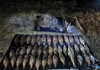 Пресечен ряд фактов браконьерства